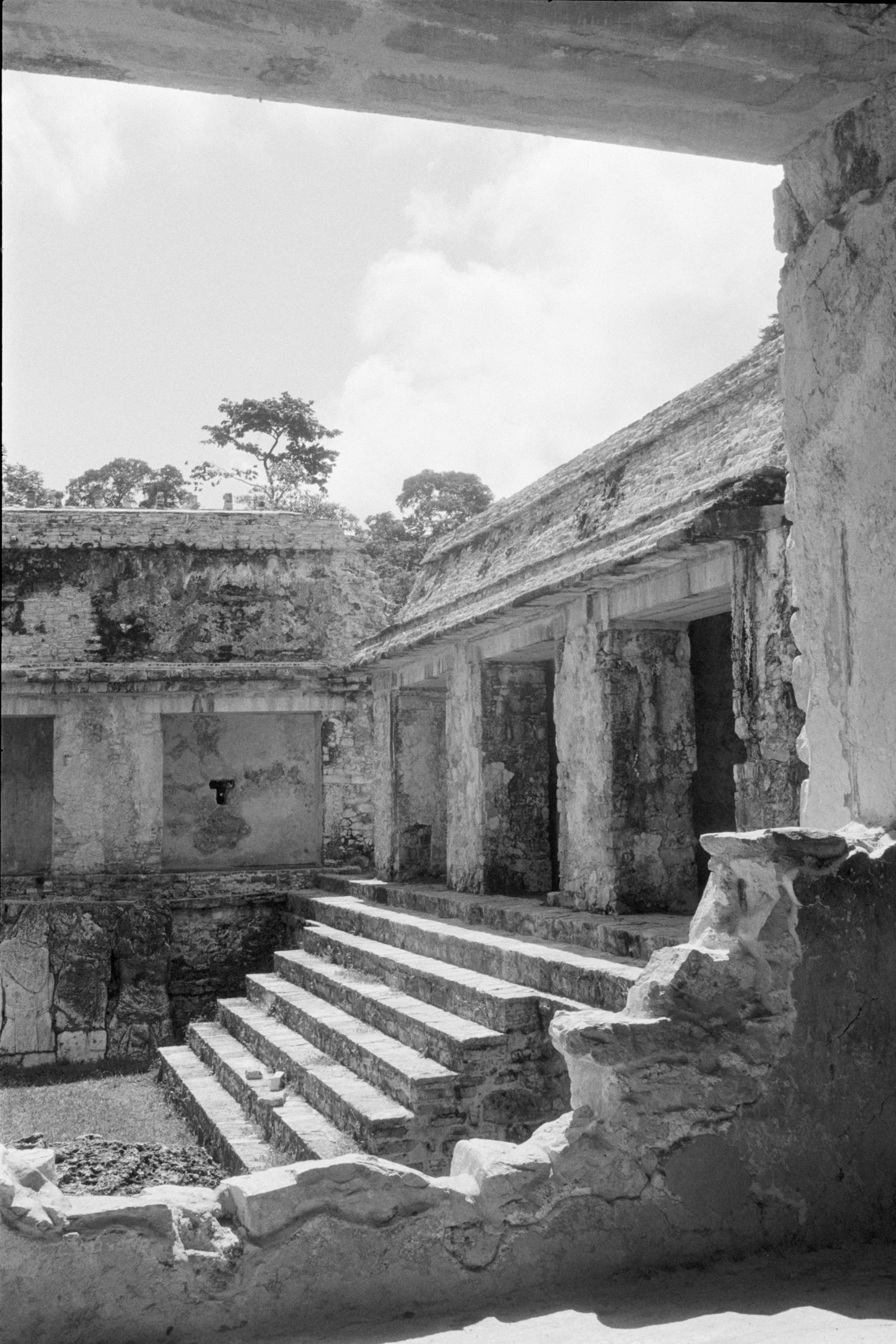 AHP FilmScan 240807 0649